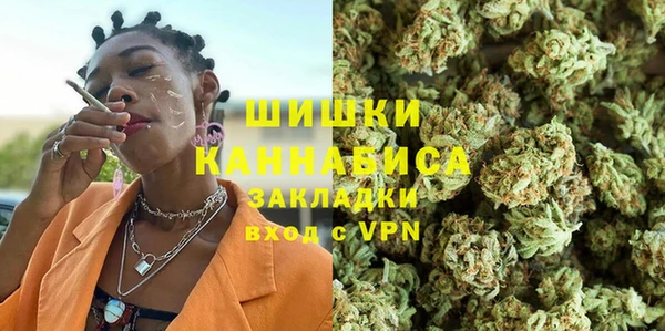 mdpv Богородицк