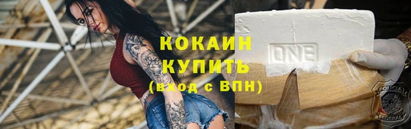 mdpv Богородицк