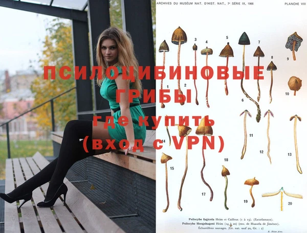 ГАЛЛЮЦИНОГЕННЫЕ ГРИБЫ Бугульма