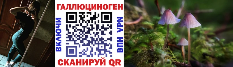 Псилоцибиновые грибы Psilocybine cubensis  дарк нет как зайти  Городовиковск  OMG ССЫЛКА 